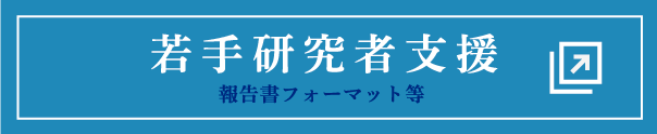 若手研究者支援 (報告書フォーマット等)